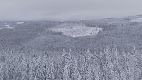 Magical-icy-winter-forest-covered-in-pure-white-snow,-aerial-drone-view