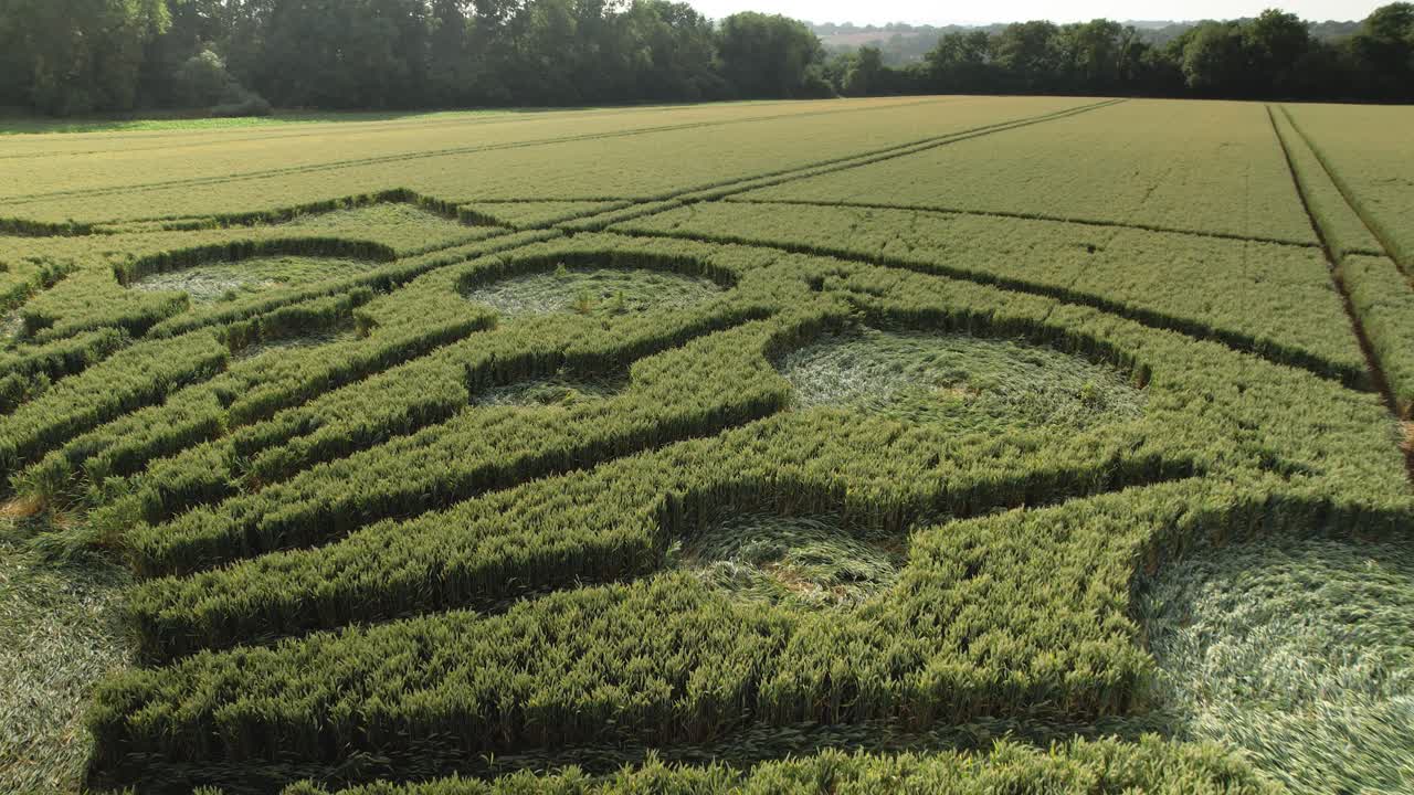 viento soplando en los cultivos verdes en el patrón de círculo de cultivo en el campo agrícola en owslebury, hampshire, inglaterra
