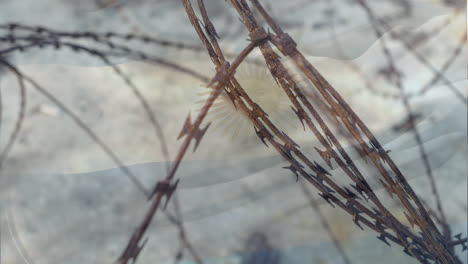 barbed wires against argentina flag