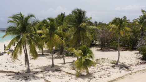 AERIAL---Pristine-white-sand-beach,-Cayo-Lobos,-Fajardo,-Puerto-Rico,-truck-left