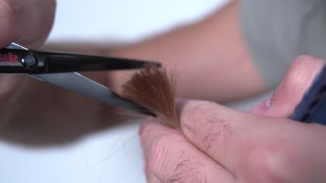 barber's hands shears to cut  hair in hands