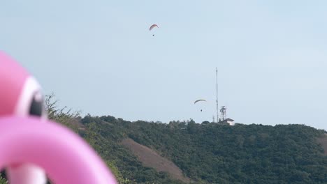 숲 언덕 위의 스카이다이버에 대한 흐릿한 분홍색 플라밍고