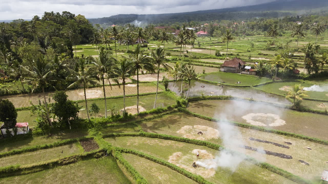 granjero quemando paja de arroz seca en el campo en un día soleado en bali, indonesia