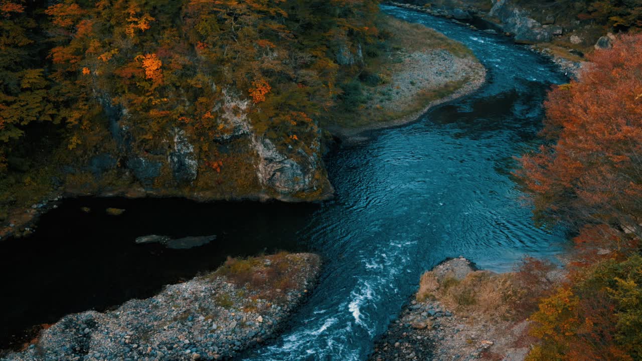 hermoso paisaje de otoño, árboles y hojas