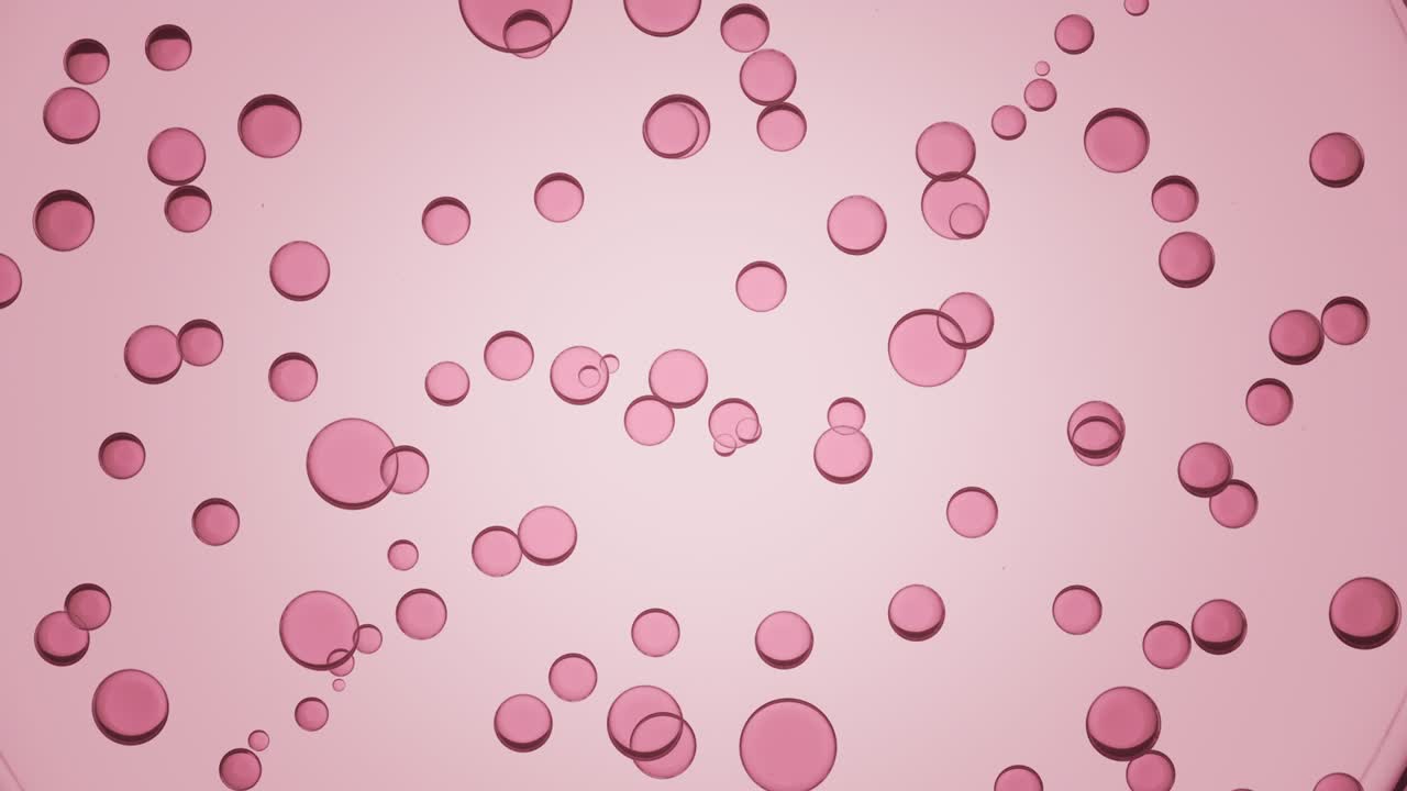 Pink transparent different sized circles move spontaneously