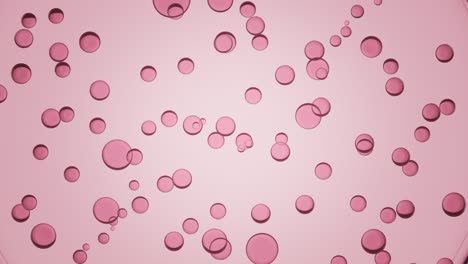 rosas transparentes círculos de diferentes tamaños se mueven espontáneamente