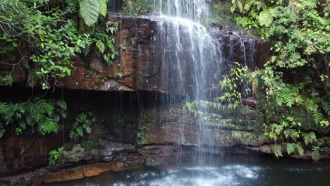 las cuevas waterfall drops into calm plunge pool in bolivia jungle