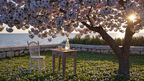 serene sunset scene under cherry blossoms by the sea