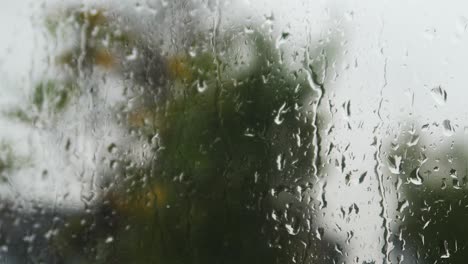 Gesperrter-Blick-Auf-Regen,-Der-Auf-Fenster-Fällt,-Mit-Verschwommenem-Hintergrund-Von-Wind-Weht-Pflanzen