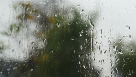 locked off view of rain falling on window with blurred background of wind blowing plants