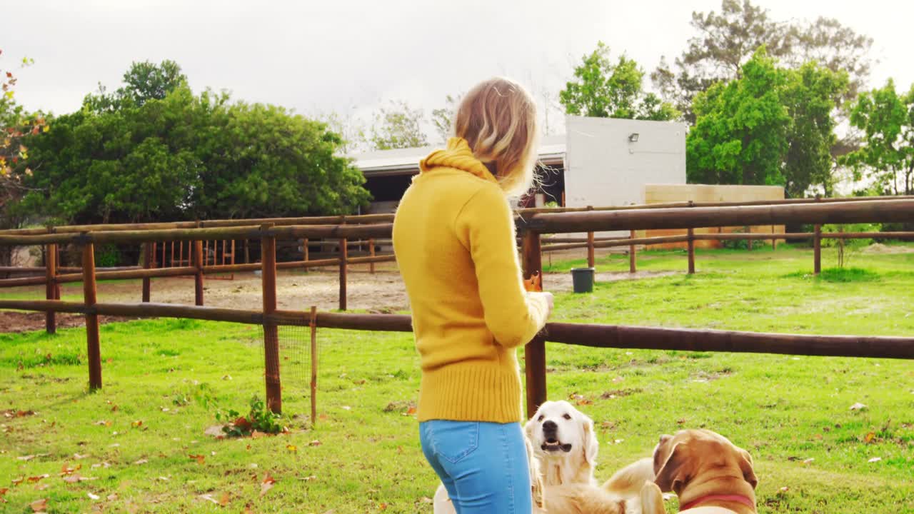 개 들 과 함께 놀고 있는 여자 4k