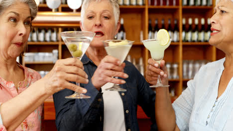 senior friends toasting glass of cocktail 4k