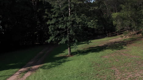 Disparo-De-Drone-Tirando-Hacia-Atrás-De-Un-árbol-Solitario-En-Medio-De-Un-Patio-De-Hierba-Verde-Por-Un-Camino-De-Camión-De-Tierra