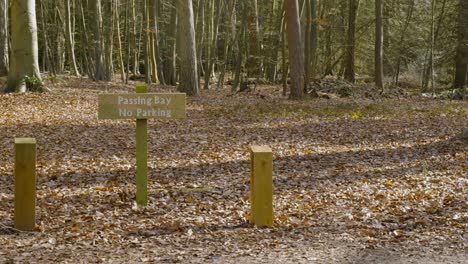 Wooden-post-barrier-passing-only-signage-in-autumn-woodland-country-park-nature-reserve