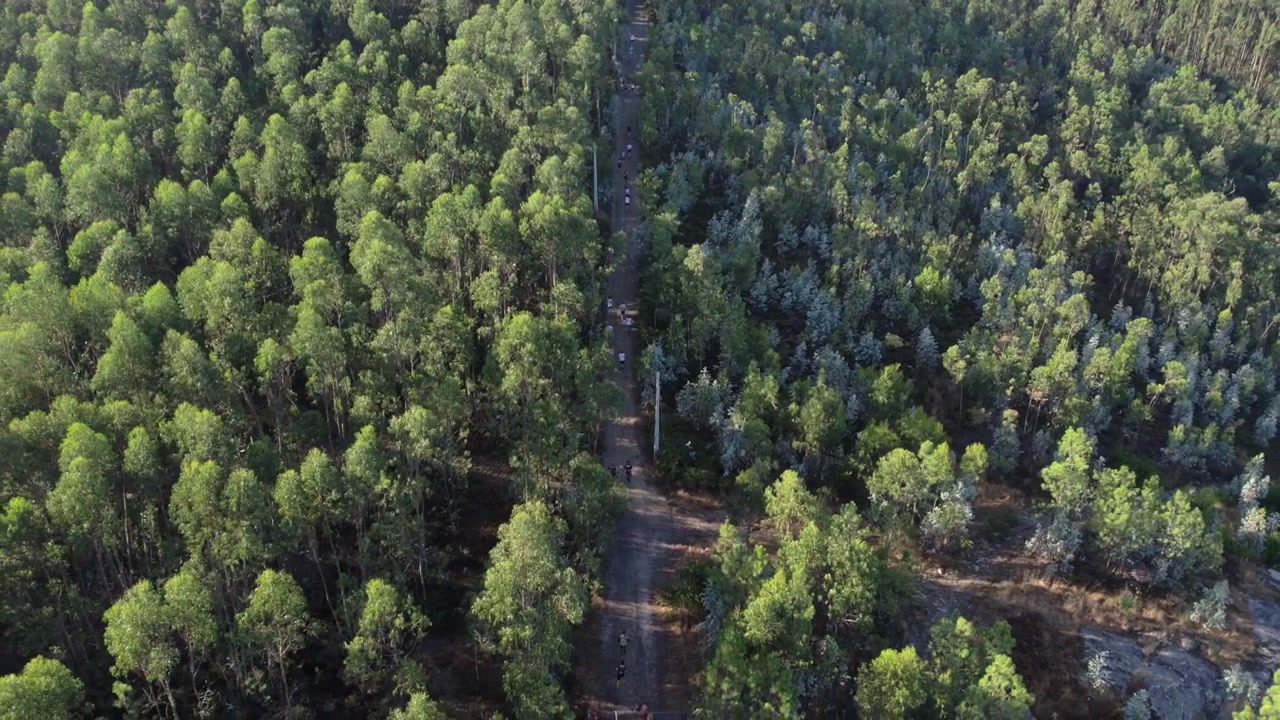 Corridori seguono un sentiero forestale rettilineo a Monte Franqueira, Barcelos, attraverso una fitta vegetazione.