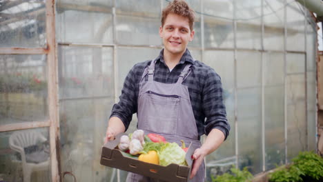 farmer with harvested vegetables in farm