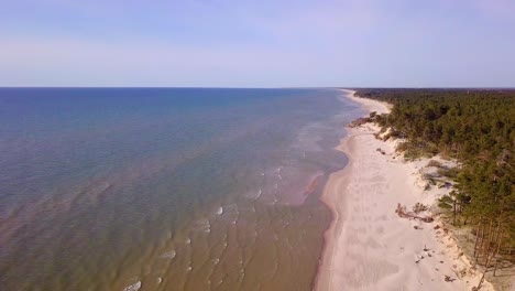 Aerial-view-of-Baltic-sea-coast-on-a-sunny-day,-steep-seashore-dunes-damaged-by-waves,-broken-pine-trees,-coastal-erosion,-climate-changes,-wide-angle-drone-shot-moving-forward,-camera-tilt-down