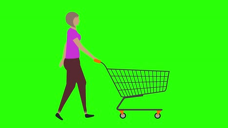 mujeres caminando en bicicleta bucle sin costuras, tirando del carrito de compras, pantalla verde animación de clave croma, diseño plano