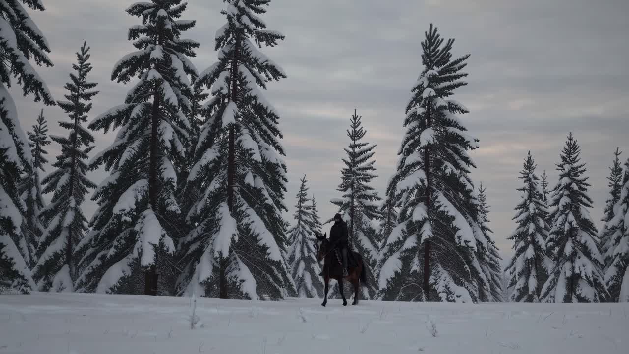 A wide-angle video captures a lone rider on horseback in a snowy forest, evoking a serene