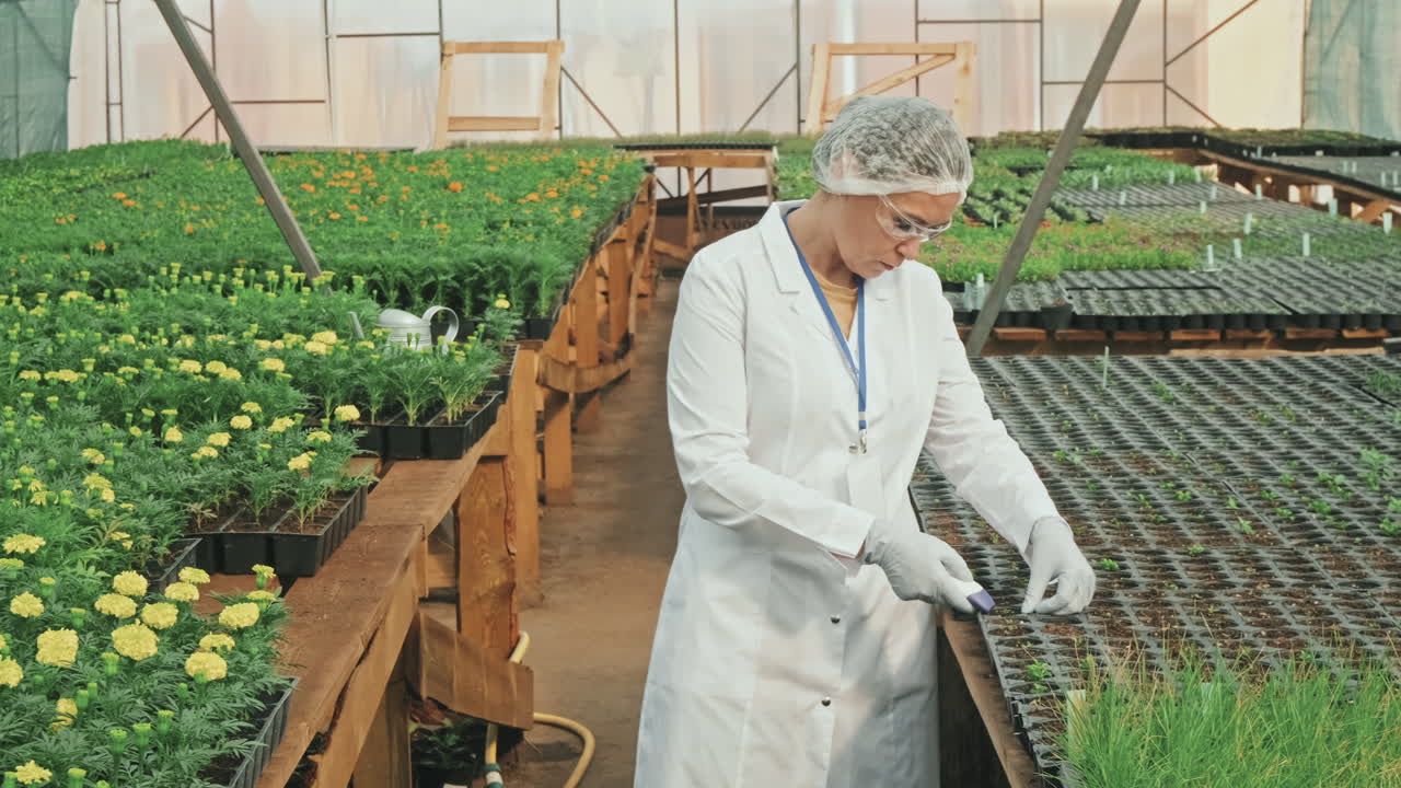 Measuring Temperature of Plants and Soil in Hothouse