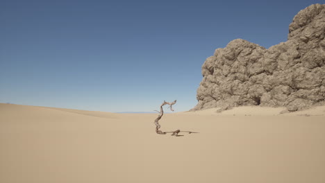 a lone dead tree stands in a desert landscape with a large rock formation in the background