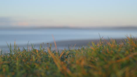 Distant-landscape-in-early-morning-autumn-sunlight-with-focus-pull-onto-foreground-grass-with-dew