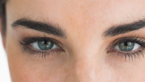 close up of female grey eyes against white background