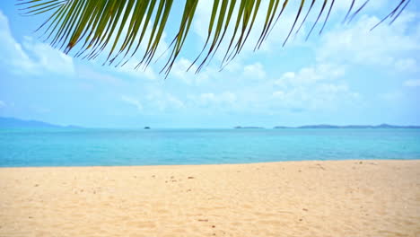 Tropischer-Strand-Auf-Einer-Exotischen-Insel,-Palmenblätter-Wehen-Im-Wind