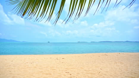 playa tropical en una isla exótica, hojas de palmera ondeando en el viento