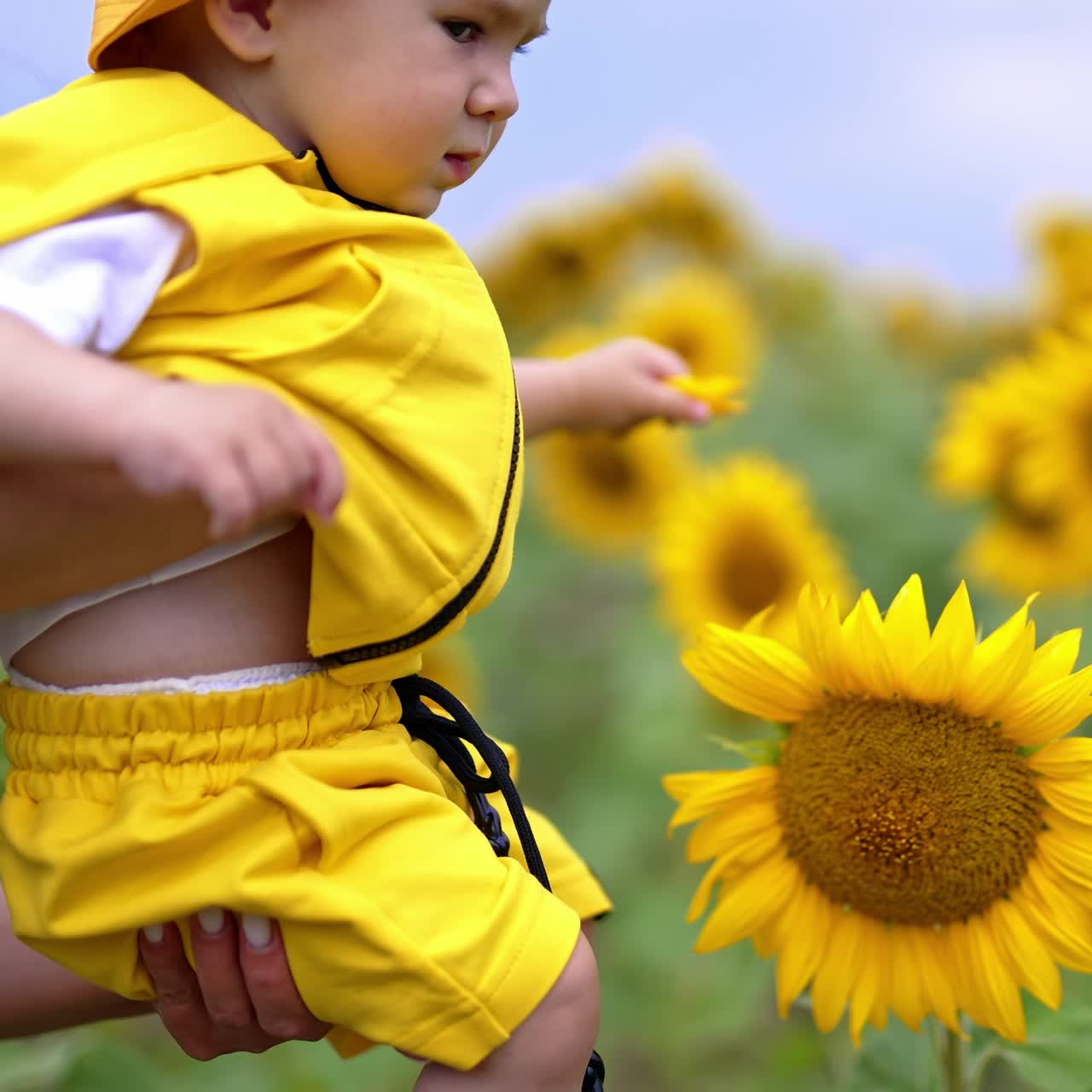 Mommy's holding her kid wearing yellow panama and in hands. Cute baby boy touching gently the petals of sunflower. Blurred backdrop