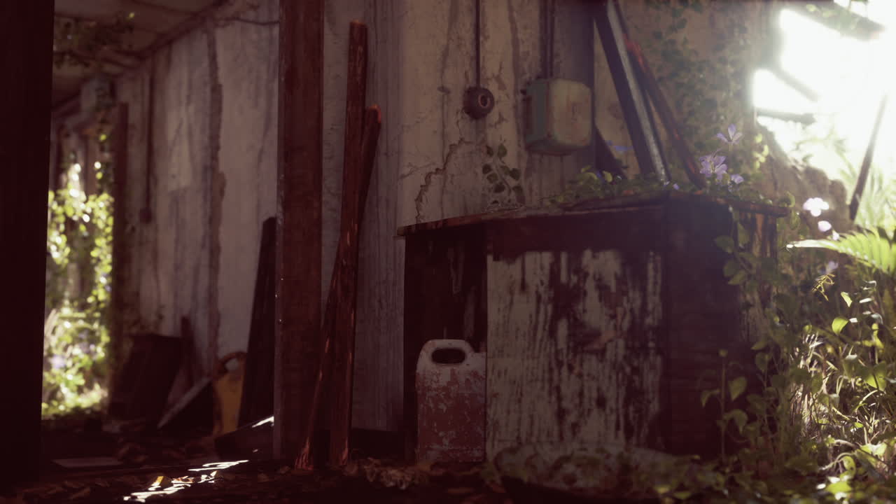 자연으로 뒤인 버려진 건물