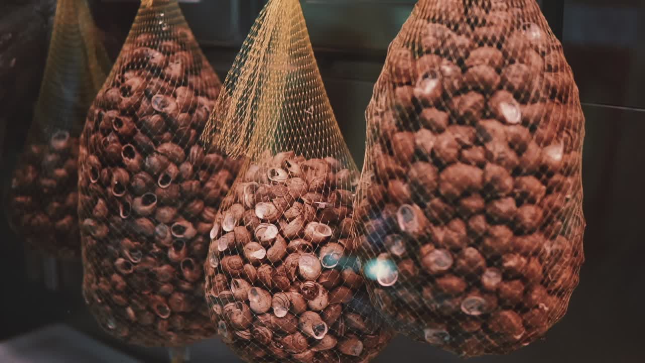 Getrocknete Schneckenhäuser in Netzbeuteln