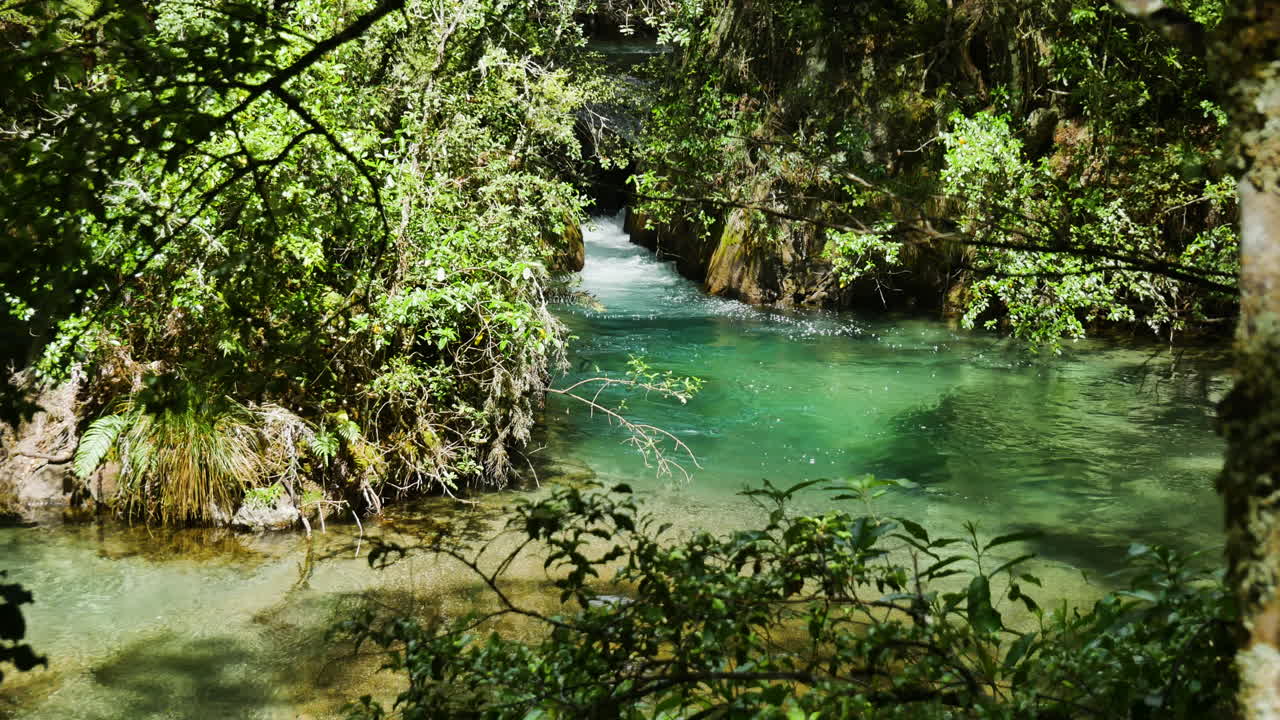 Río Tarawera idílico y sereno fluyendo entre un denso parque nacional en un día soleado - Kawerau, NZ