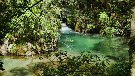 Leerer-Idyllischer-Tarawera-fluss,-Der-Am-Sonnigen-Tag-Zwischen-Dichtem-Nationalpark-Fließt---Kawerau,-Nz