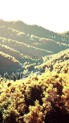 autumn mountain forest landscape