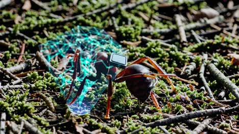 Ant with Technology Overlay