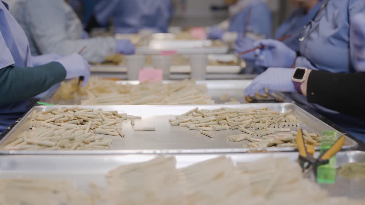 fila de trabajadores de fábricas de producción de cannabis preparando y llenando juntas, enfoque de estante de primer plano