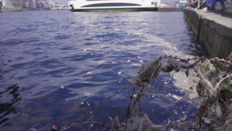 Contaminación-Ambiental.-Las-Personas-Inconscientes-Contaminan-La-Naturaleza.