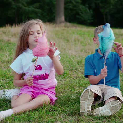 child in park with cotton candy