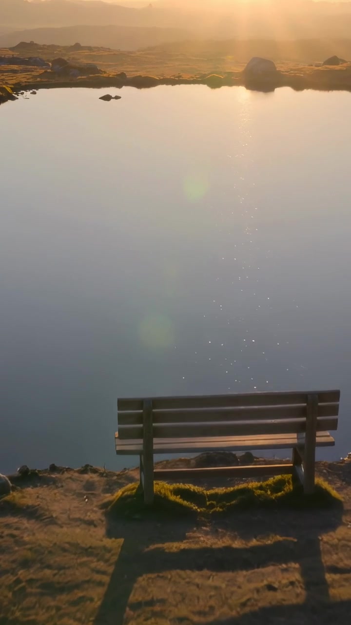 세로 영상: 카메라를 기울여 호수에서 나무 벤치가 앞으로 다가오고 햇빛이 반짝이는 모습을 보여주는 영상