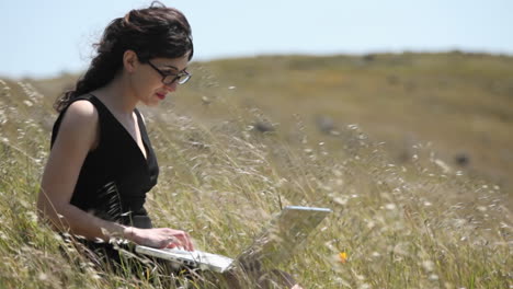 a woman using a laptop sits in a field 2