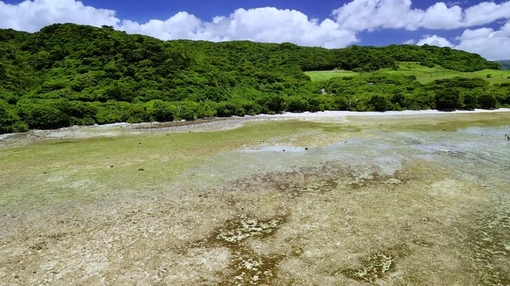 Stunning drone footage flying over vibrant coral reefs and turquoise waters toward a lush green tropical shoreline under a bright blue sky in Ishigaki