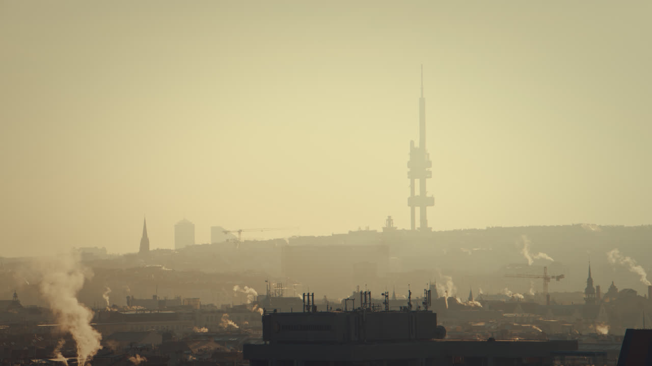 torre della tv di praga all'alba con tetti e uccelli che volano al mattino