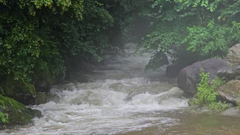 Un-Río-De-Montaña-Furioso-Fluye-Y-Hace-Espuma-Entre-Un-Bosque-De-Hojas-Verdes-En-Un-Día-Lluvioso-Con-Nieblas-De-Niebla