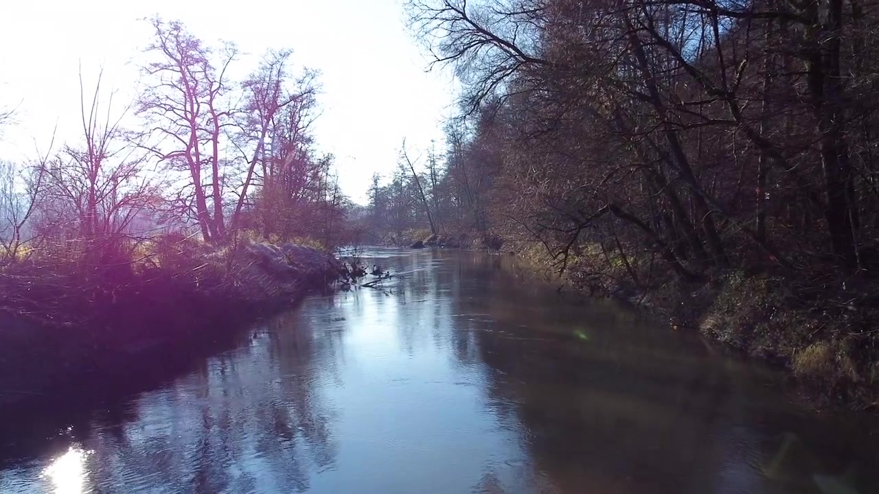 Un fiume sereno scorre attraverso un'area boschiva a Blieskastel, Germania, riflettendo la luce soffusa del sole e gli alberi spogli, catturando la bellezza pacifica della natura nel tardo autunno o all'inizio dell'inverno.