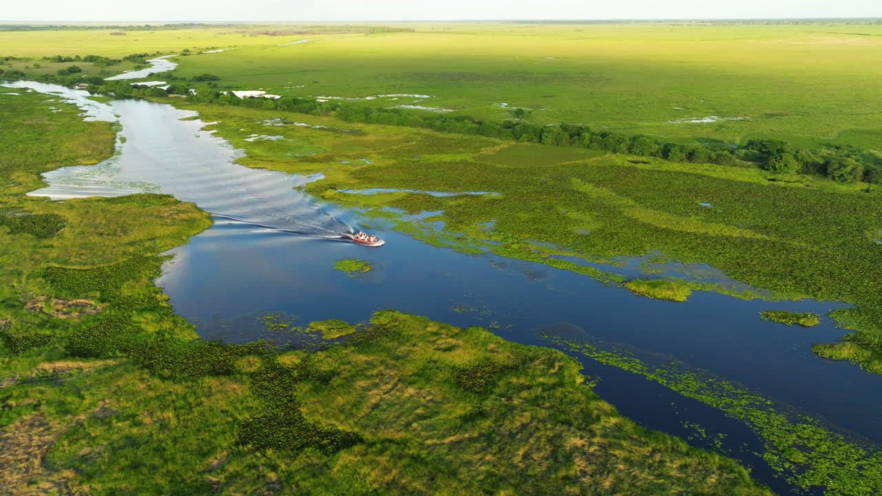 Vista aerea di una barca turistica che esplora le zone umide di Los Llanos in Venezuela