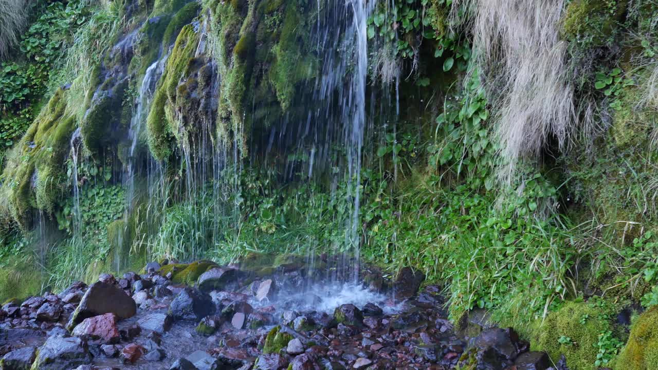el agua fría de manantial cae de una empinada ladera verde cubierta de musgo sobre rocas húmedas