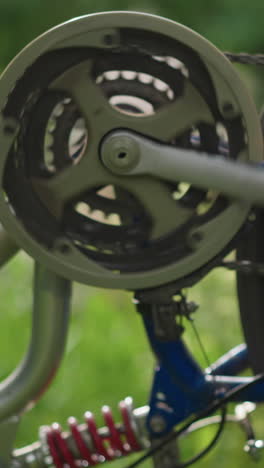 primer plano del pedal de la bicicleta girando a mano hacia atrás, haciendo que la rueda gire rápidamente, el enfoque está en el sistema de engranajes y la cadena, con el fondo con vegetación borrosa