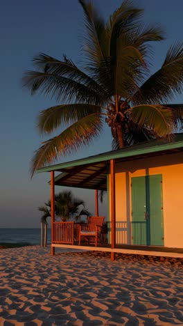 Low-angle video shot of a serene beach at sunset, featuring a palm tree and a wooden hut