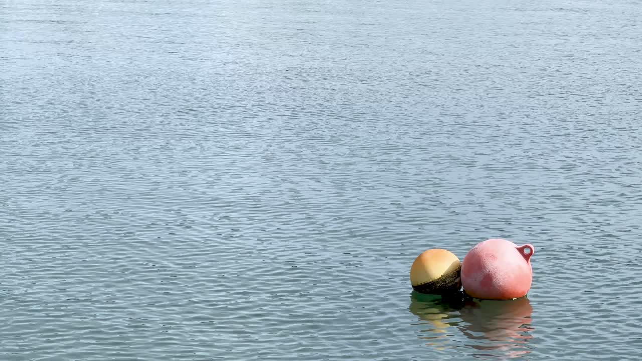 Static medium shot of colorful buoys bobbing on gentle ripples in the Pacific Ocean